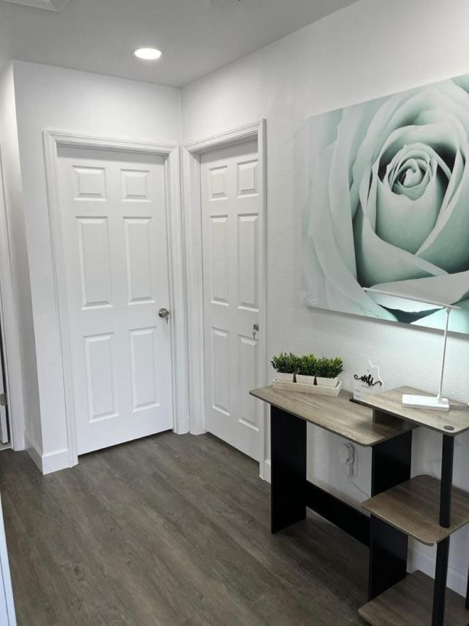 Incredible Comfortable Apartments Near The Airport And Beaches Tampa Eksteriør billede