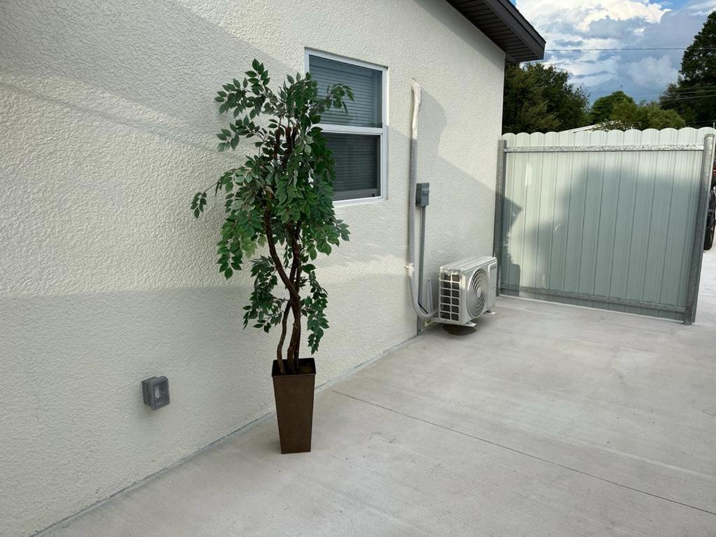 Incredible Comfortable Apartments Near The Airport And Beaches Tampa Eksteriør billede